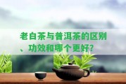 老白茶與普洱茶的區(qū)別、功效和哪個(gè)更好？