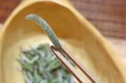 留意-喝茶有很多好處 老年人不宜在四小時內(nèi)喝茶