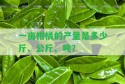 一畝柑橘的產(chǎn)量是多少斤、公斤、噸？