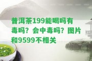 普洱茶199能喝嗎有毒嗎？會中毒嗎？圖片和9599不相關(guān)