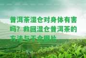 普洱茶濕倉(cāng)對(duì)身體有害嗎？救回濕倉(cāng)普洱茶的方法與干倉(cāng)圖片