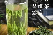 福建省茶文化研究會召開2007年工作會議暨新年友誼座談會，松溪綠茶