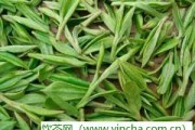 茶之舞 美麗的開(kāi)始，沖茶