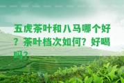 五虎茶葉和八馬哪個(gè)好？茶葉檔次怎樣？好喝嗎？