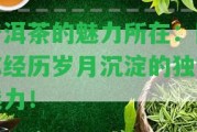 普洱茶的魅力所在：陪你經歷歲月沉淀的特別魅力！