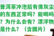 普洱茶沖泡后有像灰塵的東西正常嗎？能喝嗎？為什么會有？漂浮物是什么？（含圖片）