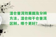 濕倉普洱效果圖及分辨方法，濕倉和干倉普洱區(qū)別，哪個(gè)更好？