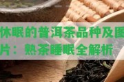 休眠的普洱茶品種及圖片：熟茶睡眠全解析