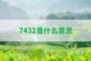 7432是什么意思