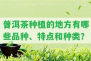 普洱茶種植的地方有哪些品種、特點(diǎn)和種類？