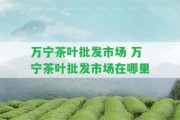 萬寧茶葉批發(fā)市場(chǎng) 萬寧茶葉批發(fā)市場(chǎng)在哪里