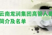 云南龍潤集團(tuán)高管人員簡介及名單