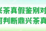 鼎興茶真假鑒別對比：怎樣判斷鼎興茶真假？