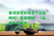 普洱茶餅長綠毛了還能喝嗎？真相揭秘！（含圖片和視頻）