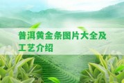 普洱黃金條圖片大全及工藝介紹