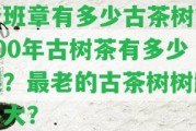 老班章有多少古茶樹？300年古樹茶有多少棵？最老的古茶樹樹齡多大？