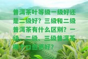 普洱茶葉等級一級好還是二級好？三級和二級普洱茶有什么區(qū)別？一級、二級、三級普洱茶哪個口感更好？