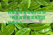 蕎麥面和普洱茶的區(qū)別「蕎麥面和普洱茶的區(qū)別是什么」