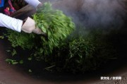 ‘成塊的普洱茶怎樣泡茶’：全面指南