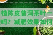 山楂陳皮普洱茶葉一起泡嗎？減肥效果怎樣？