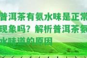 普洱茶有氨水味是正常現(xiàn)象嗎？解析普洱茶氨水味道的起因