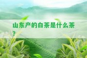 山東產(chǎn)的白茶是什么茶？