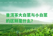 普洱茶大白菜與小白菜的區(qū)別是什么？