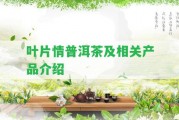 葉片情普洱茶及相關(guān)產(chǎn)品介紹