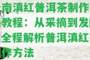 云南滇紅普洱茶制作視頻教程：從采摘到發(fā)酵，全程解析普洱滇紅茶制作方法