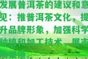 發(fā)展普洱茶的建議和意見：推普洱茶文化，提升品牌形象，加強(qiáng)科學(xué)種植和加工技術(shù)，展市場渠道。