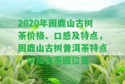 2020年困鹿山古樹茶價格、口感及特點，困鹿山古樹普洱茶特點，以及古茶園位置