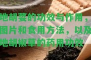 地胡荽的功效與作用，圖片和食用方法，以及地胡椒草的藥用功效