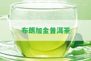 布朗加金普洱茶