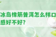 冰島橡筋普洱怎么樣口感好不好？