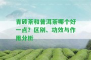 青磚茶和普洱茶哪個(gè)好一點(diǎn)？區(qū)別、功效與作用分析