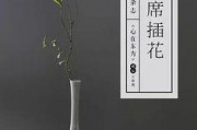 健脾養(yǎng)胃茶，洞庭碧螺春茶