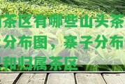 勐茶區(qū)有哪些山頭茶種及分布圖，寨子分布情況和歸屬茶區(qū)