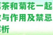 普洱茶和菊花一起泡的功效與作用及禁忌：全面解析