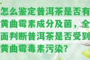 怎么鑒定普洱茶是不是有黃曲霉素成分及菌，全面判斷普洱茶是不是受到黃曲霉毒素污染？