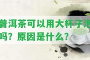 普洱茶可以用大杯子泡嗎？起因是什么？