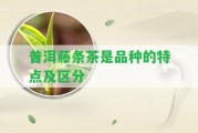 普洱藤條茶是品種的特點及區(qū)分