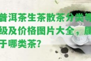 普洱茶生茶散茶分類等級及價格圖片大全，屬于哪類茶？