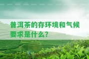 普洱茶的存環(huán)境和氣候請(qǐng)求是什么？