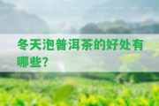 冬天泡普洱茶的好處有哪些？