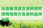 云南普洱茶古茶樹研究博物館簡(jiǎn)介及茶樹品種分類