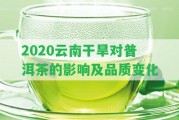 2020云南干旱對(duì)普洱茶的作用及品質(zhì)變化