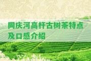 同慶河高桿古樹茶特點(diǎn)及口感介紹