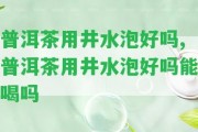 普洱茶用井水泡好嗎,普洱茶用井水泡好嗎能喝嗎