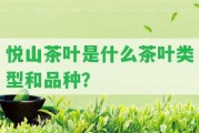 悅山茶葉是什么茶葉類型和品種？