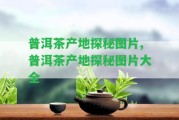 普洱茶產(chǎn)地探秘圖片,普洱茶產(chǎn)地探秘圖片大全